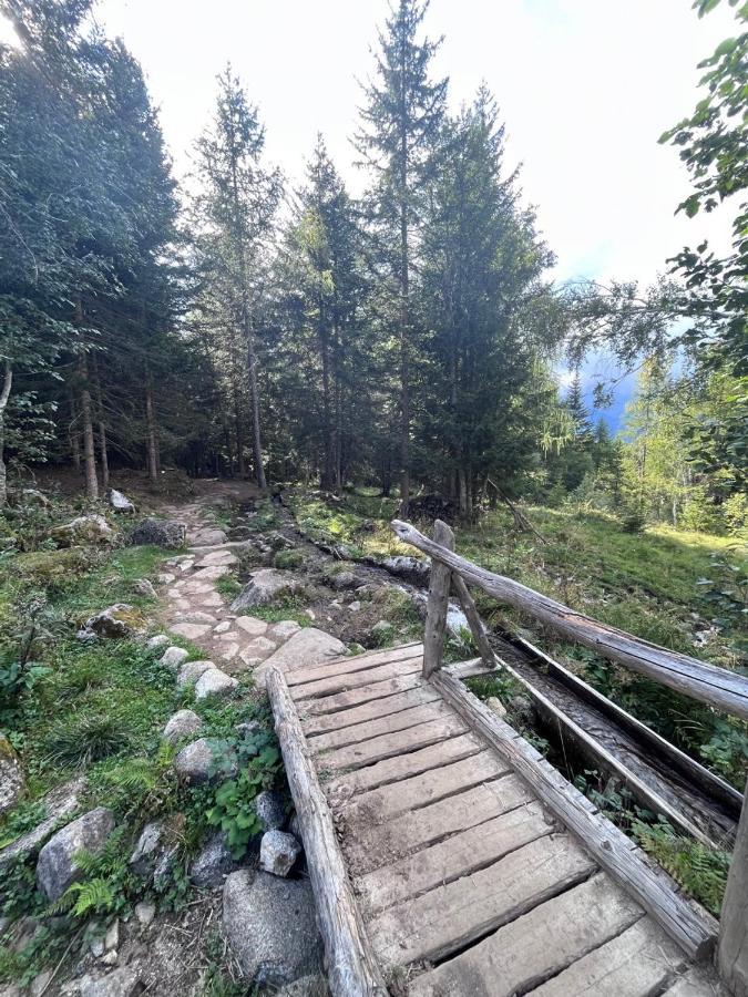 Rifugetto Apartamento Marilleva Exterior foto